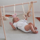 lovely daisy - baby gym set