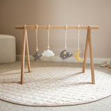 nighty night elephant - baby gym set