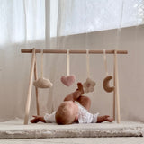 lovely daisy - baby gym set